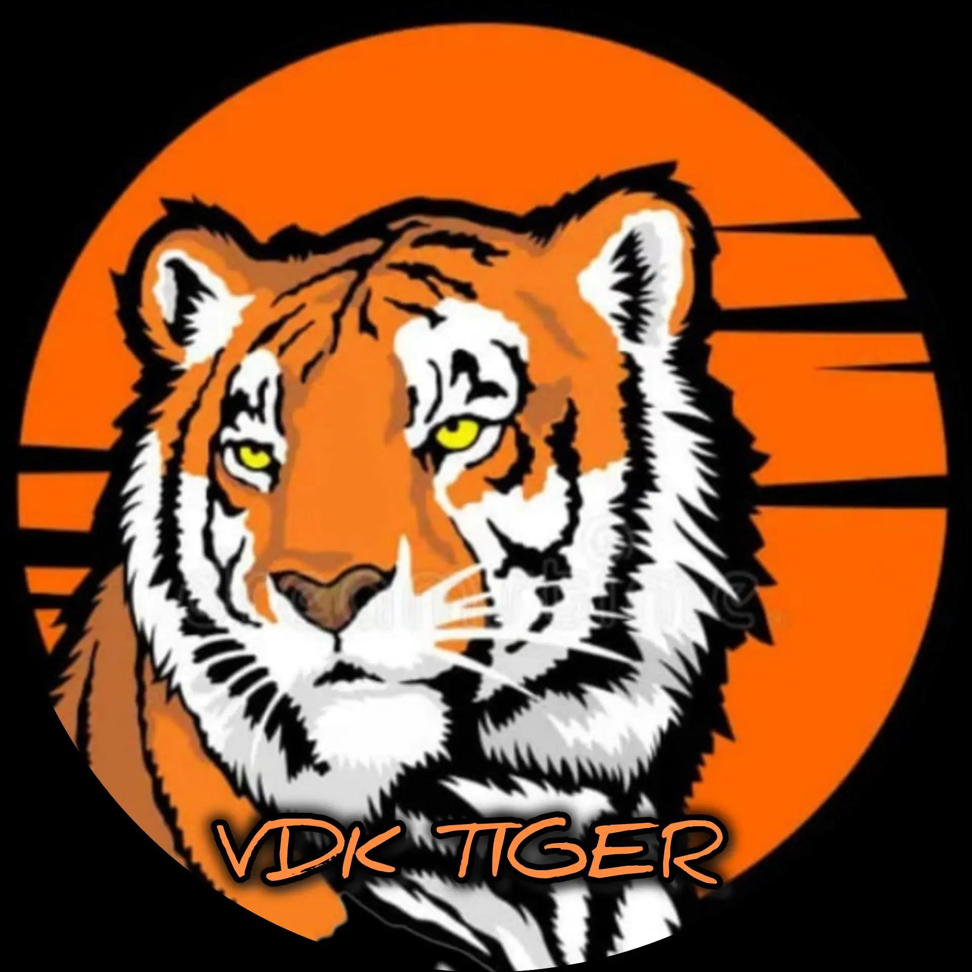 🐯Приморье Новости Владивосток Приморский край 🐯 VDK_Tiger Уссурийск Артем Находка Svodka25 Погода сейчас VL RU  Знакомства ДПС КОНТРОЛ сводка25 авария пожар дтп чп 25 регион сводка Вести Реклама — канал в мессенджере MAX