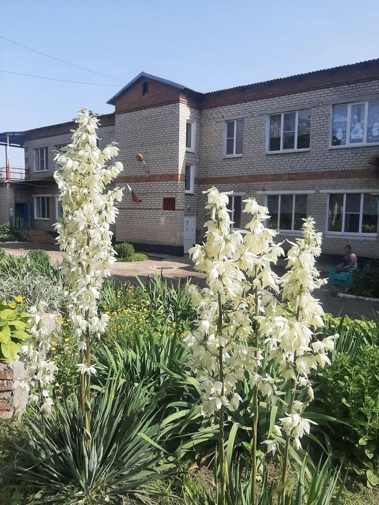 МКДОУ ,,Детский сад N10 ,,Огонёк,, пос. Балковского,,