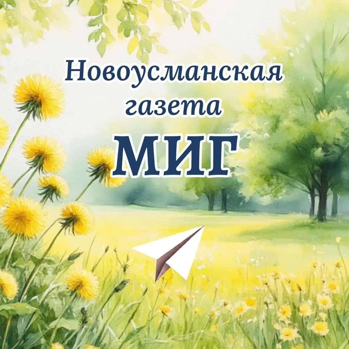 Новоусманская газета МИГ
