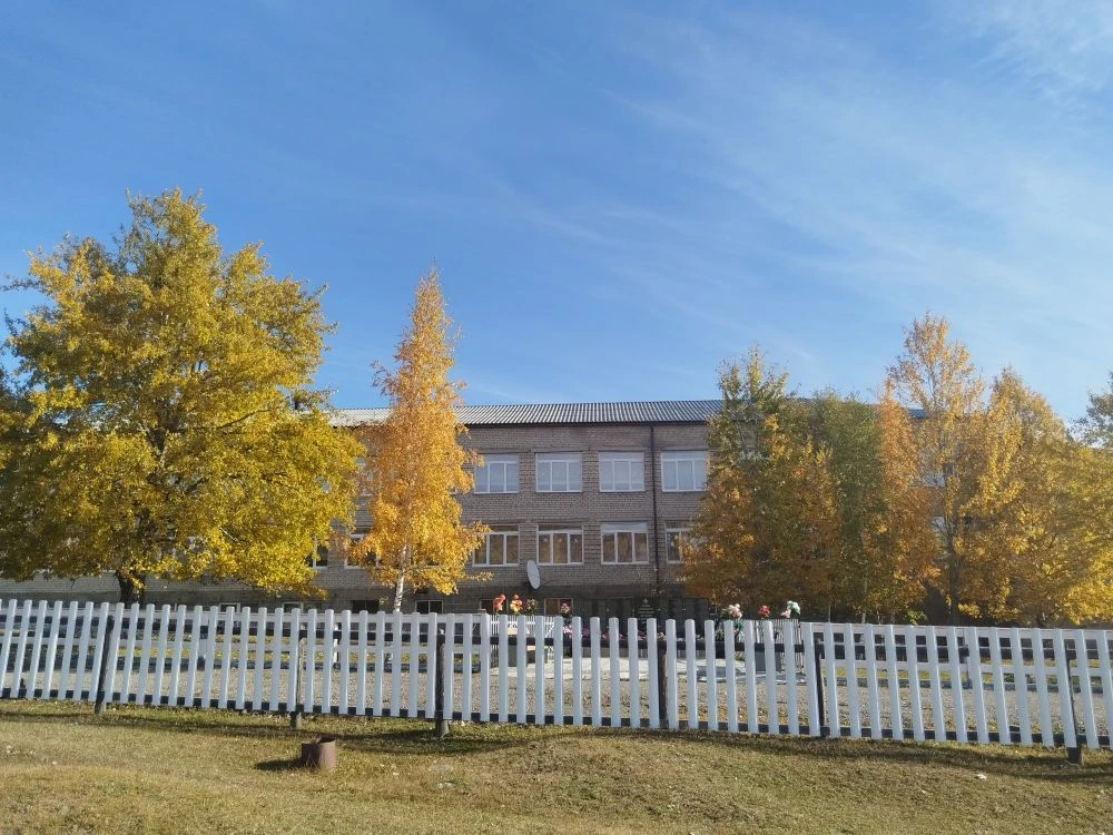 МБОУ "ЛЮБАВИНСКАЯ СОШ"