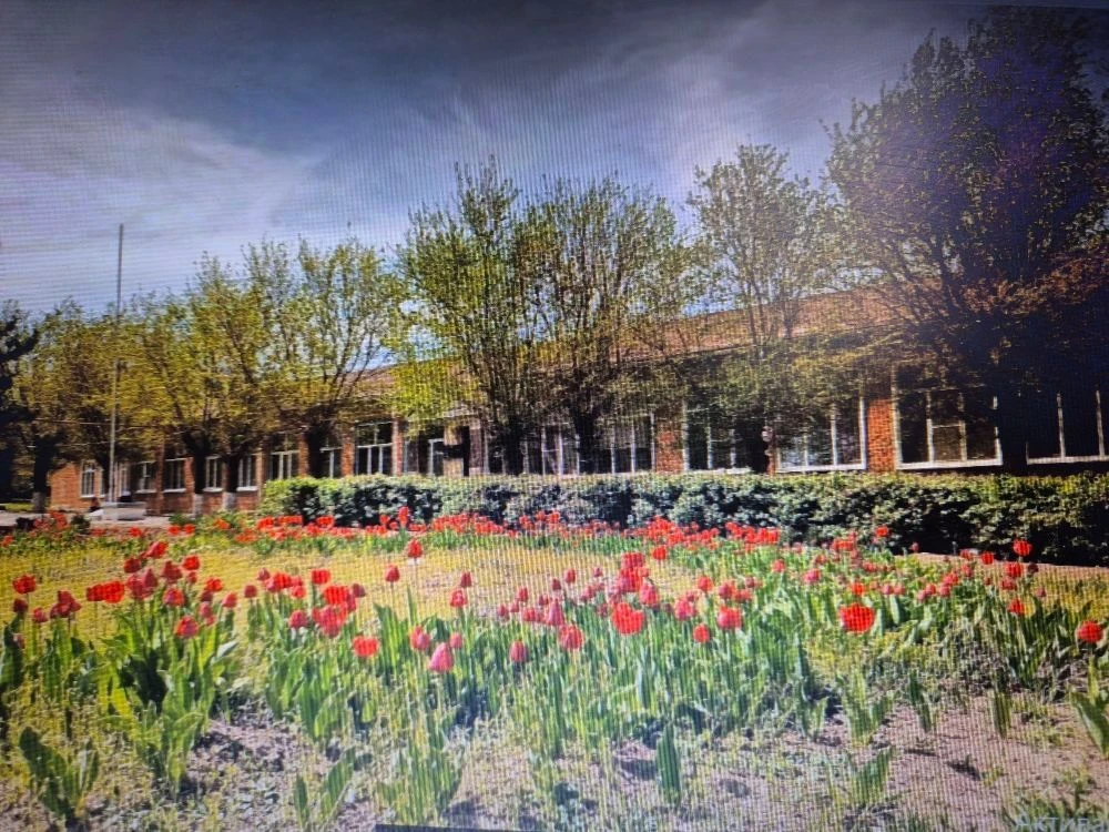 МКОУ СОШ 9 с.Родниковского