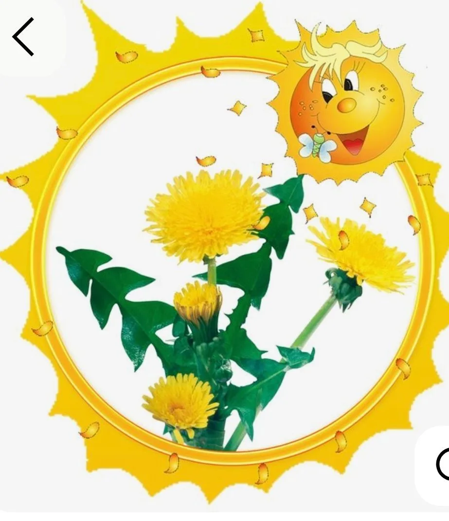 МБДОУ "ДСОВ №106"