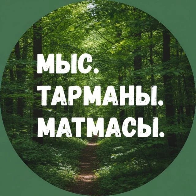 Новости: Мыс, Тарманы, Матмасы. Тюмень — канал в мессенджере MAX