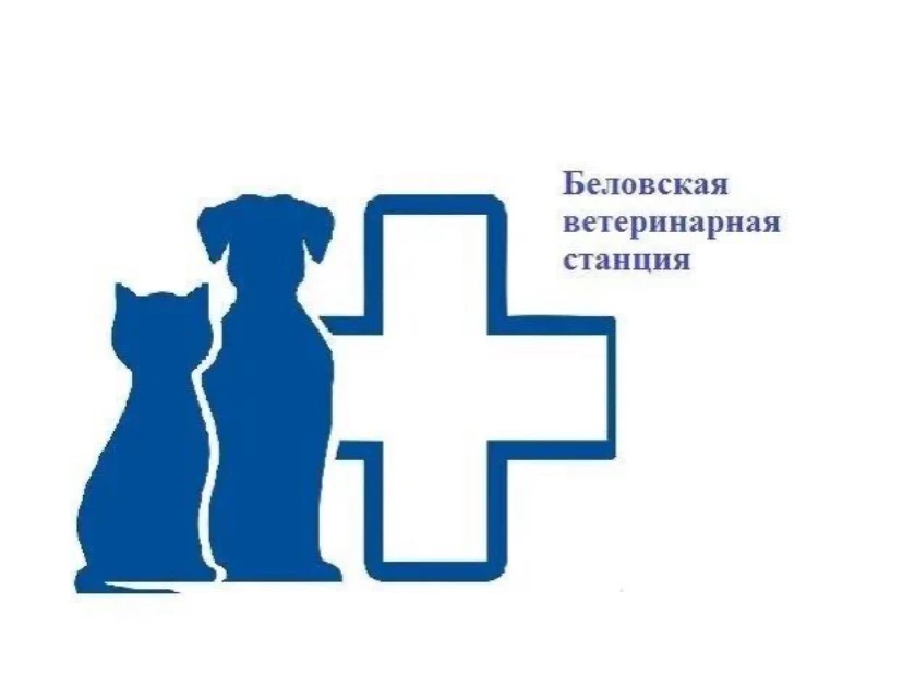 ГБУ "Беловская СББЖ"