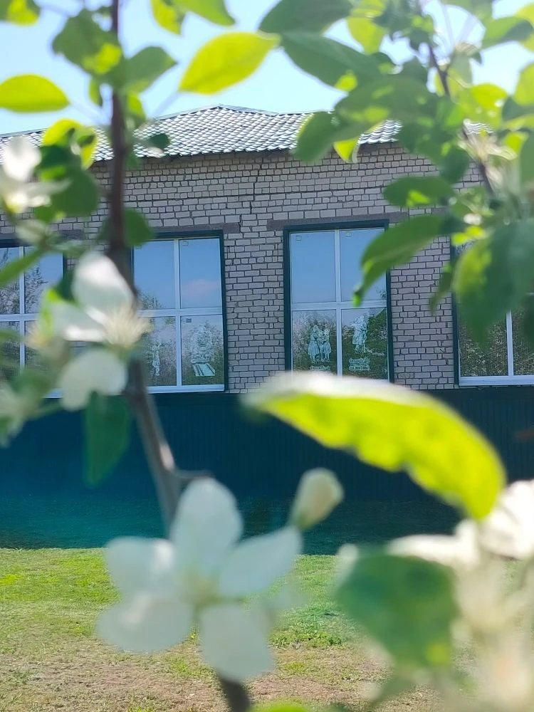 ГБОУ СОШ с. Новокуровка