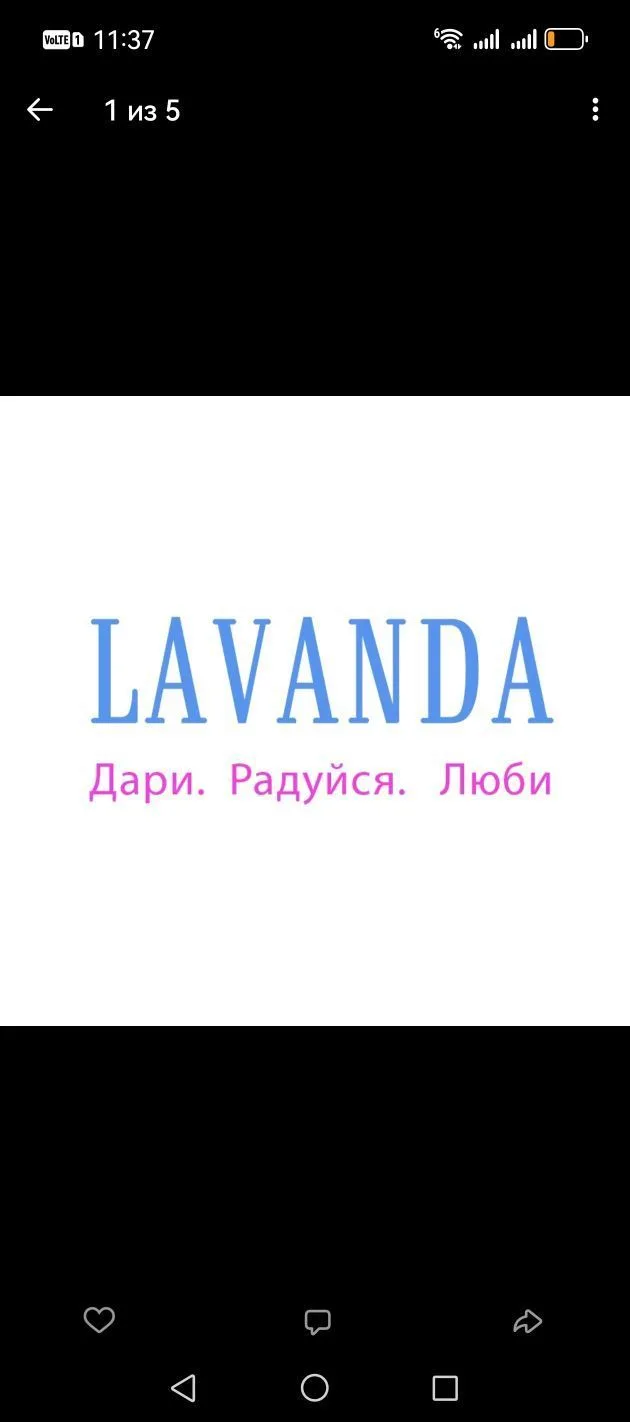 Доставка цветов Воронеж | Lavanda