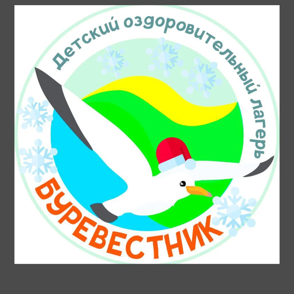 МАУ ДОЛ "Буревестник"