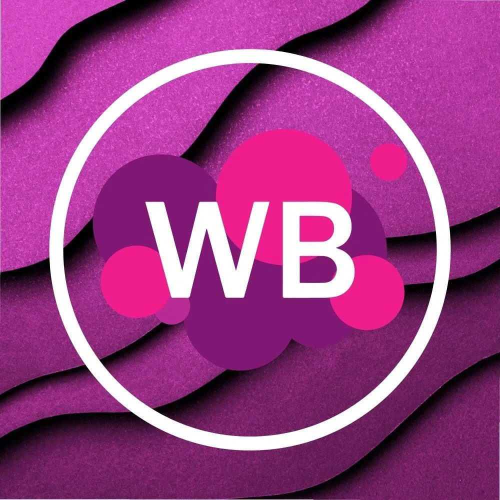 Wildberries PRO: от старта до миллиона