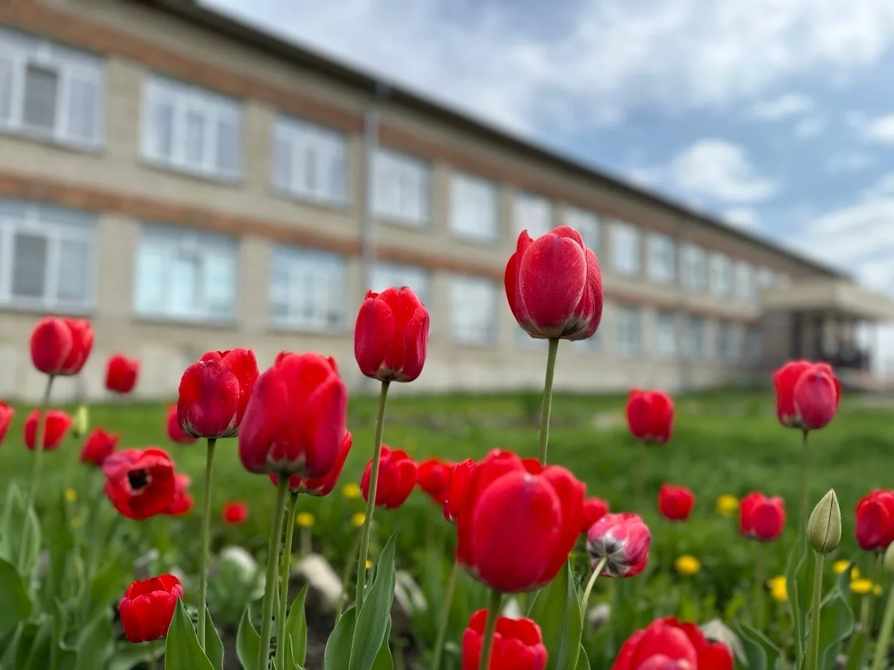 МБОУ "Скалинская СОШ"