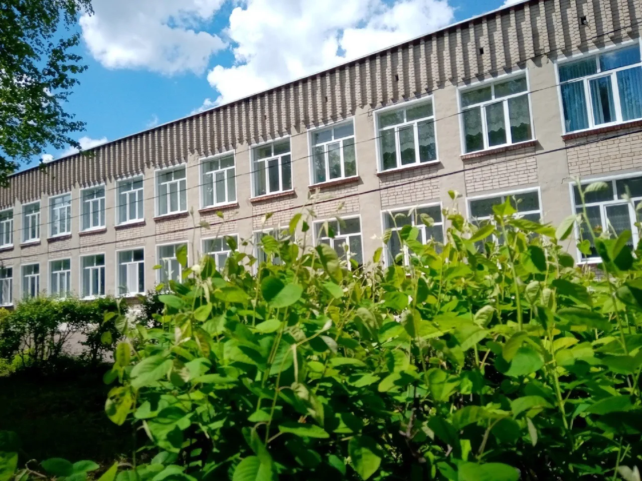 МОУ СОШ с. Телегино