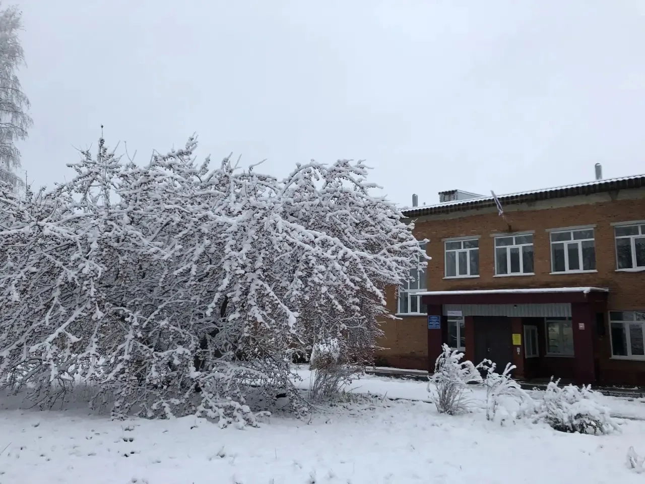 МКОУ Боровская СОШ