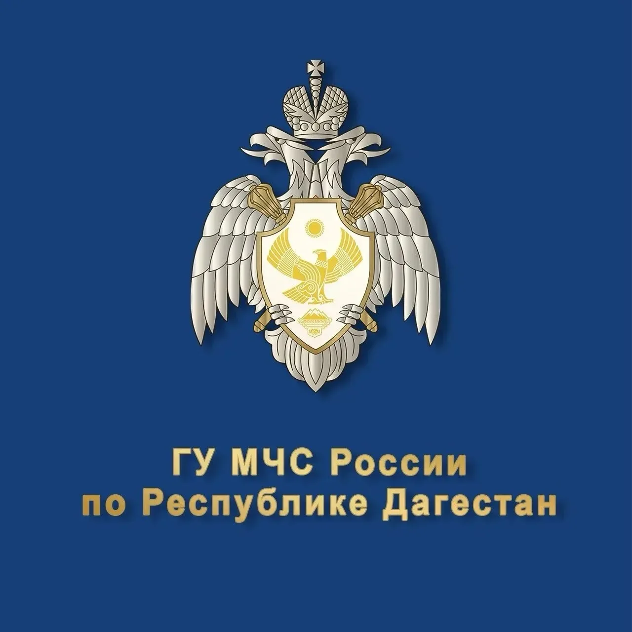 Главное управление МЧС России по Республике Дагестан — канал в мессенджере MAX