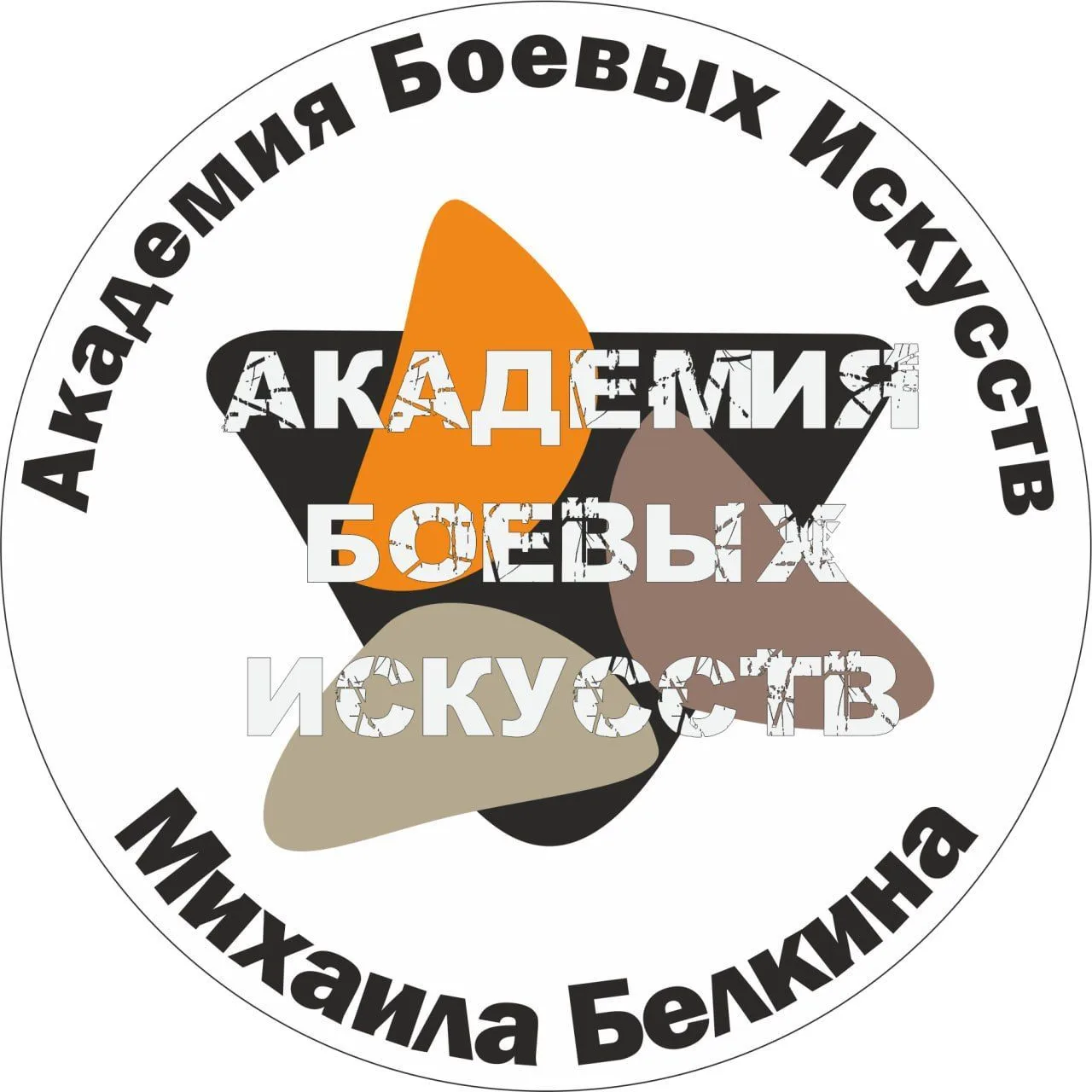 Академия боевых искусств Михаила Белкина — канал в мессенджере MAX