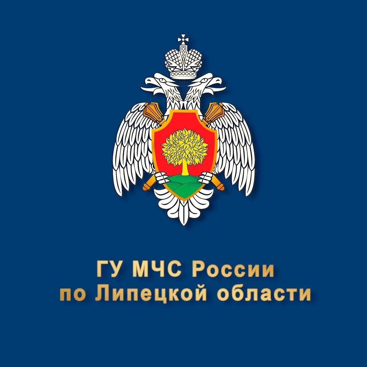 МЧС Липецкой области — канал в мессенджере MAX