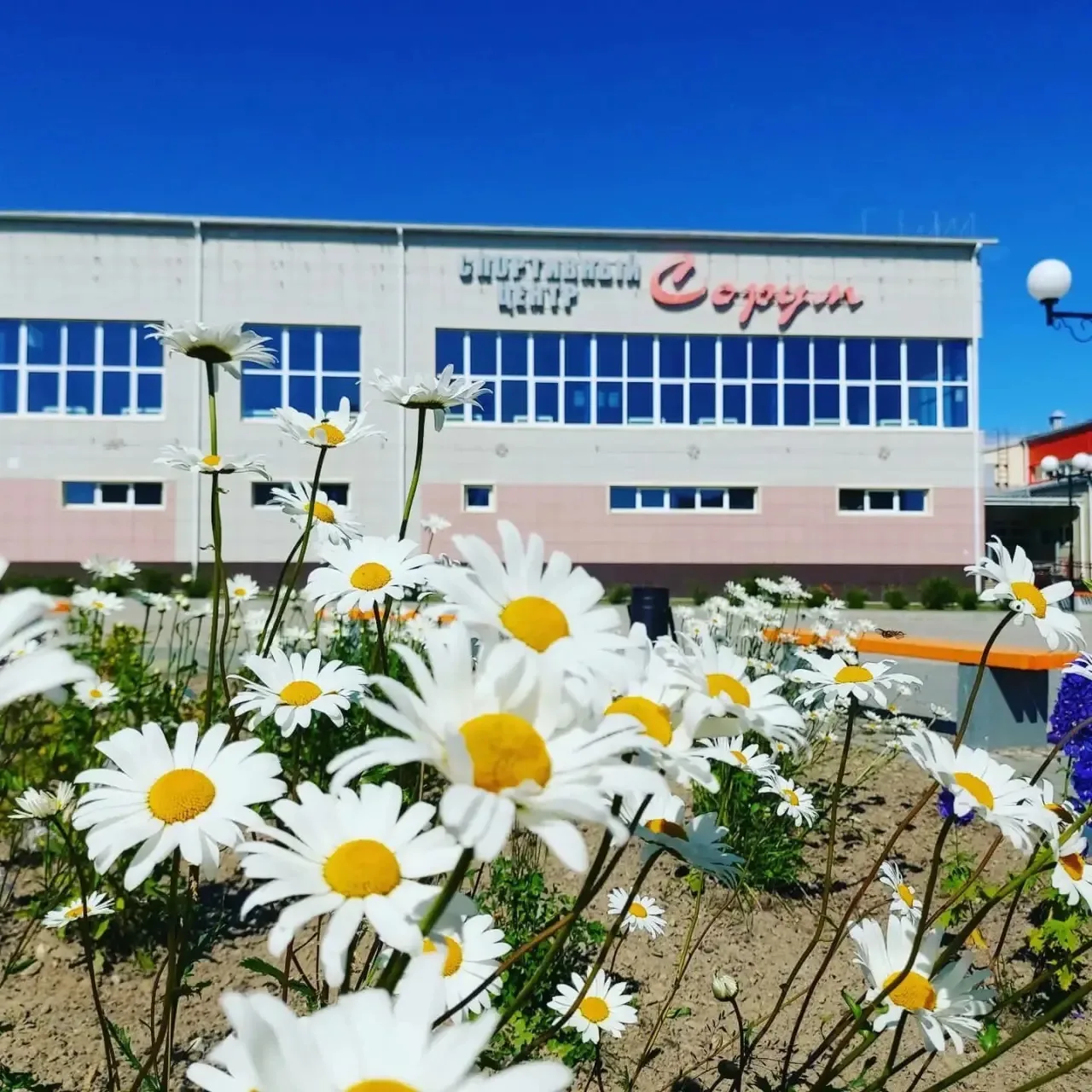 Центр культуры и спорта п.Сорум — канал в мессенджере MAX