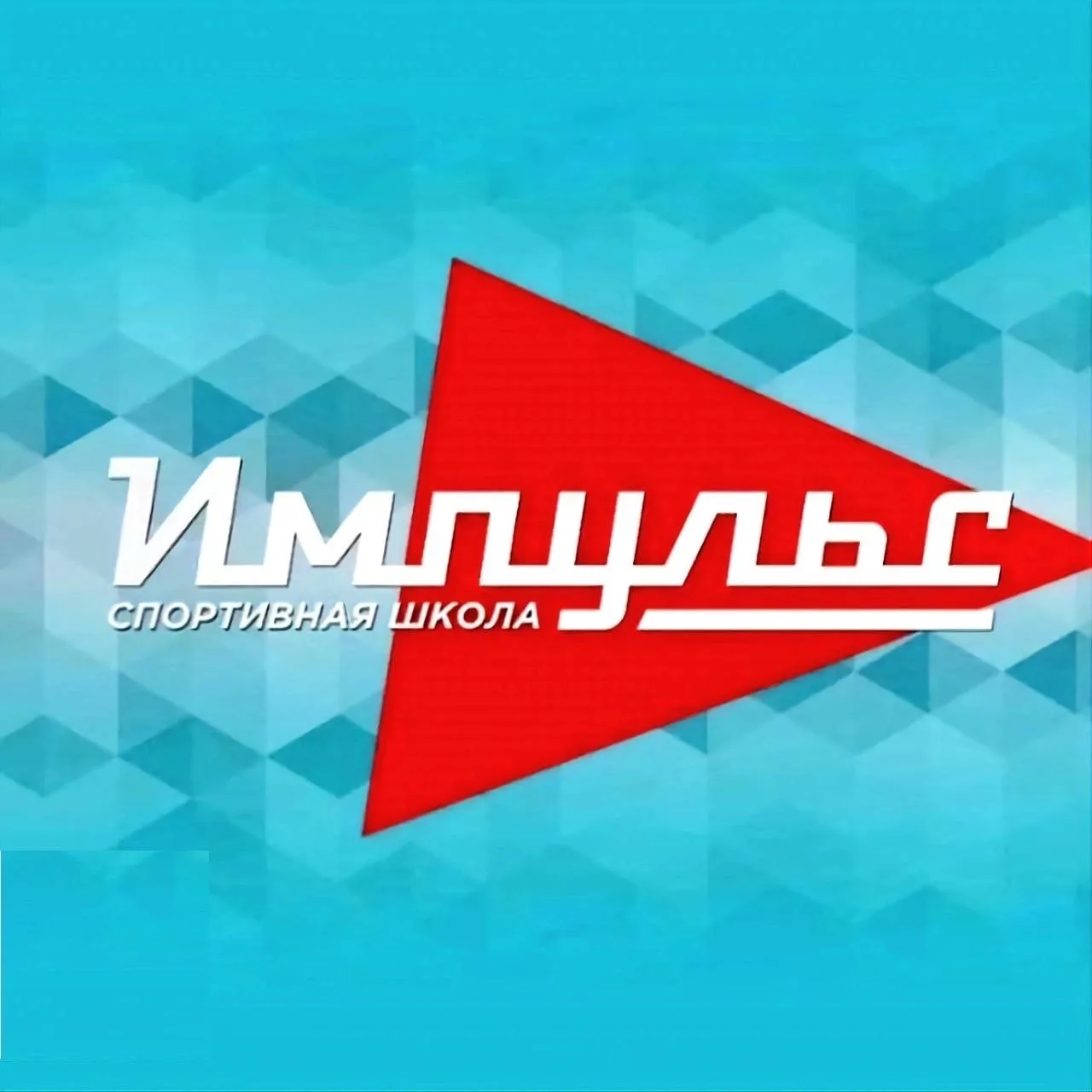 ГАУ ДО РО «Спортивная школа «Импульс»