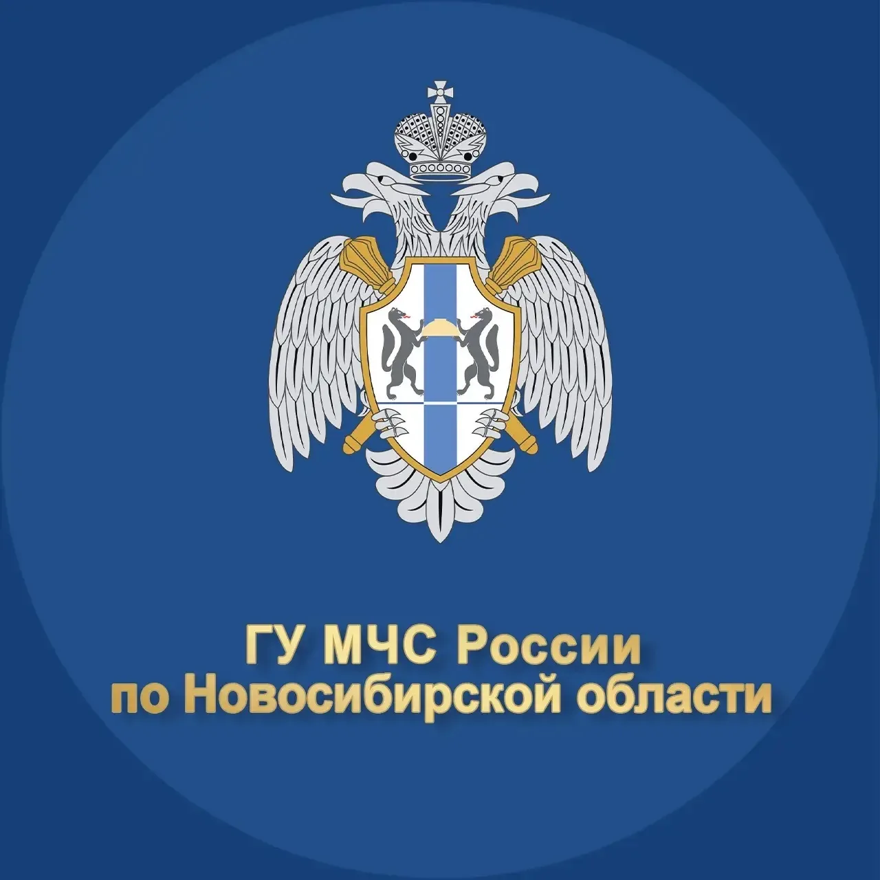 МЧС Новосибирской области — канал в мессенджере MAX