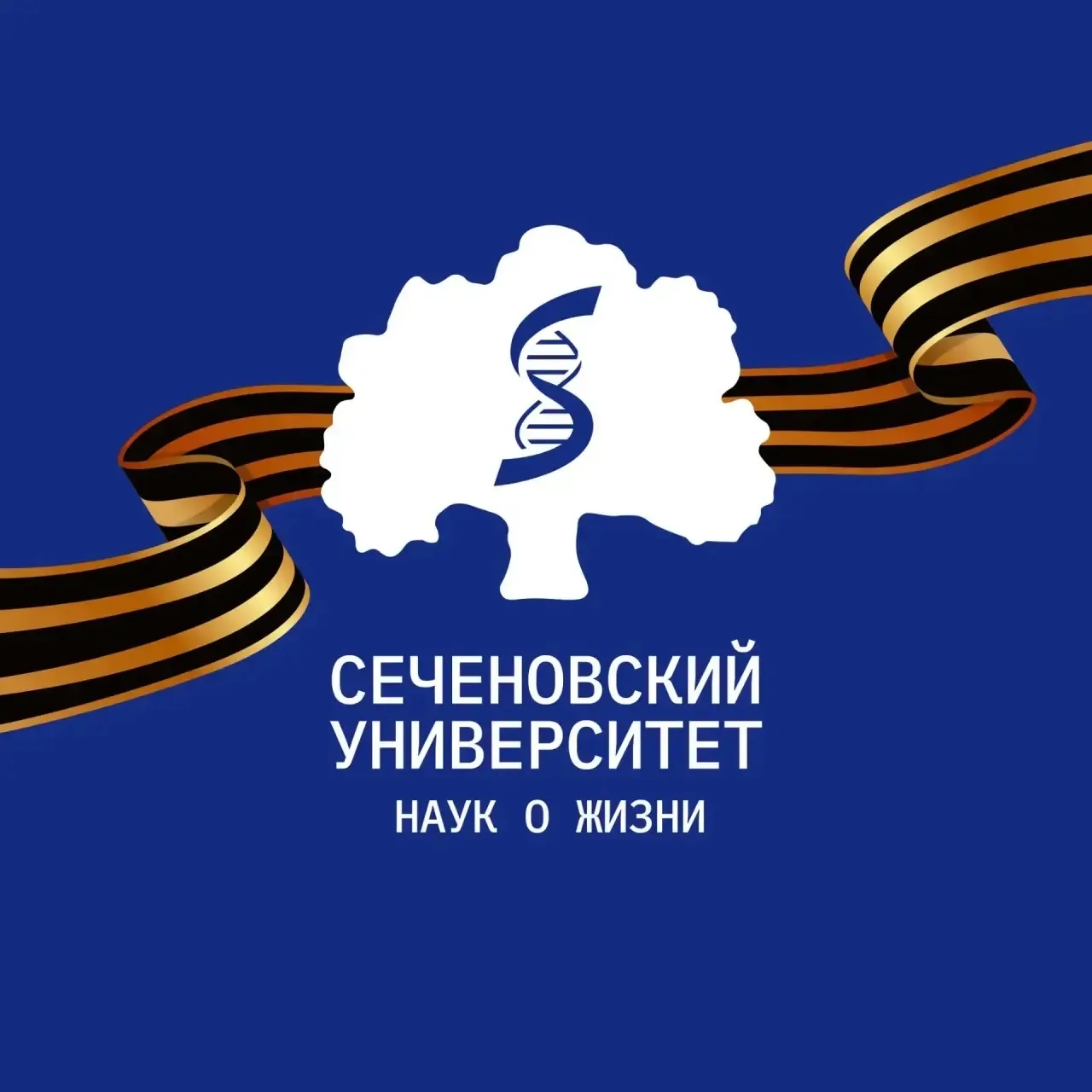 Сеченовский Университет