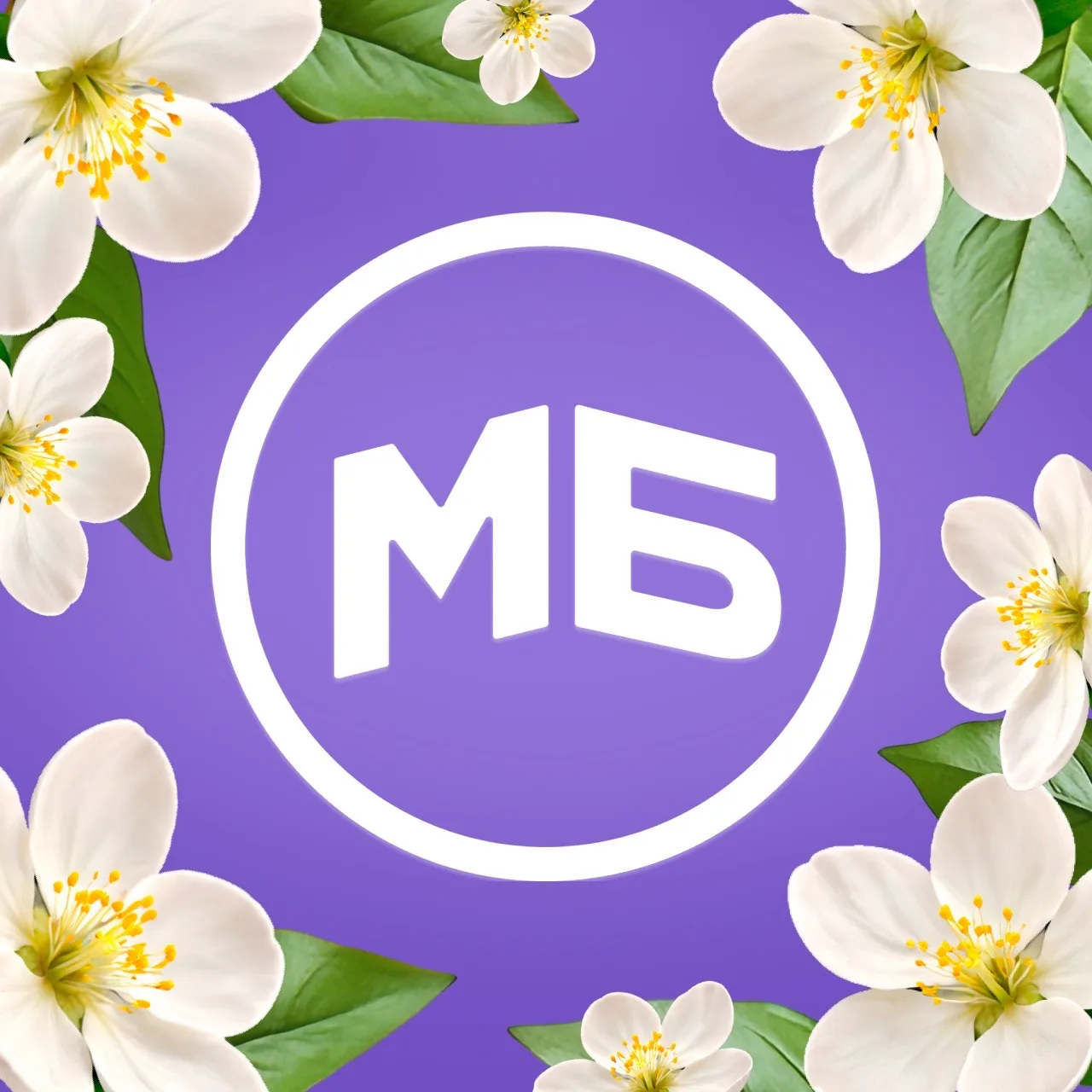 Мир Белогорья