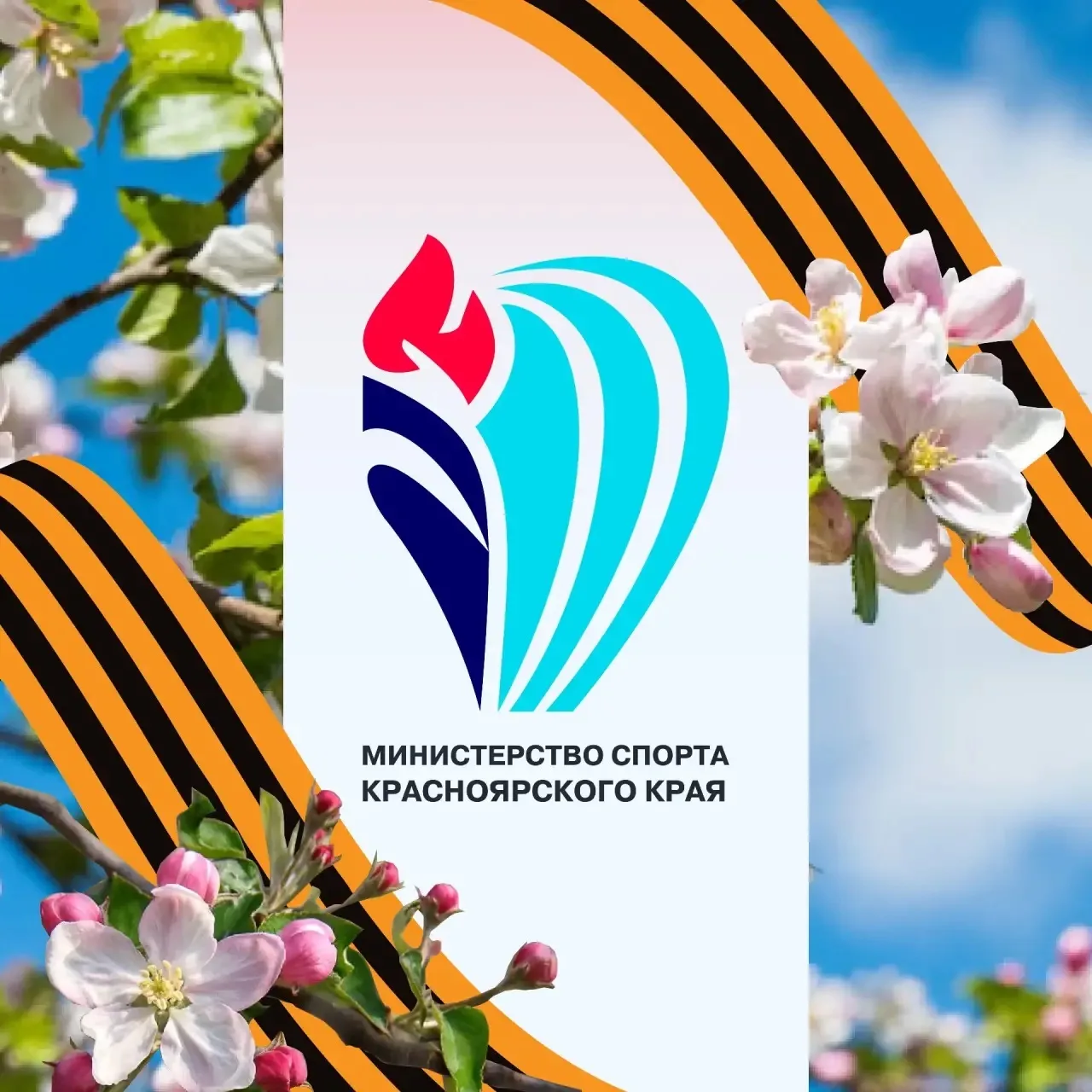 Министерство спорта Красноярского края