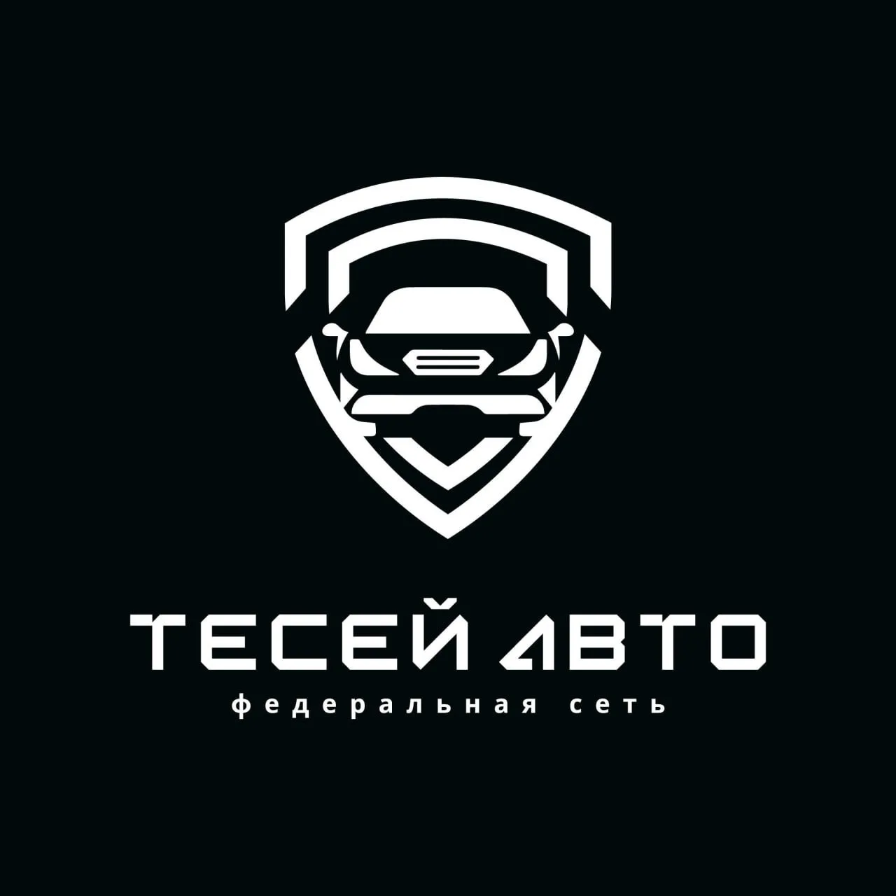 Тесей Авто | автомобили из Китая, Южной Кореи и ОАЭ — канал в мессенджере MAX