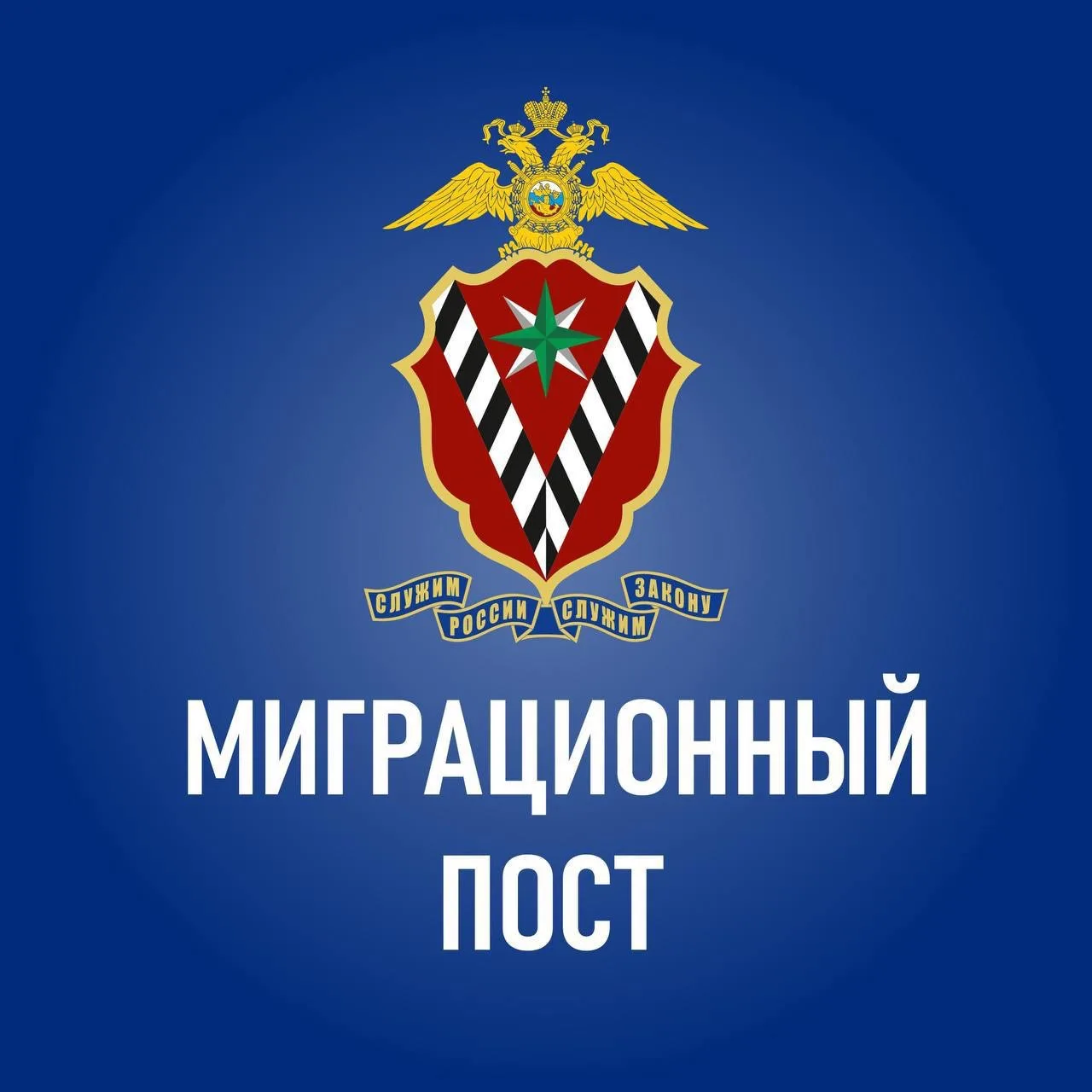 Миграционный пост — канал в мессенджере MAX