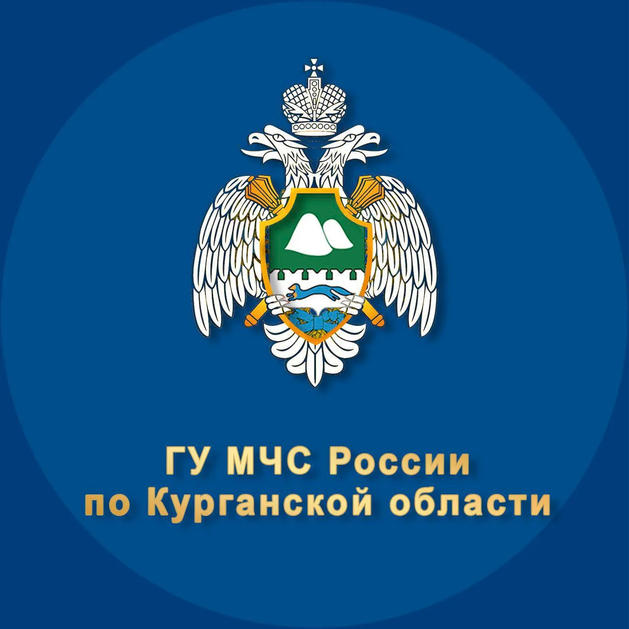 МЧС Курганской области