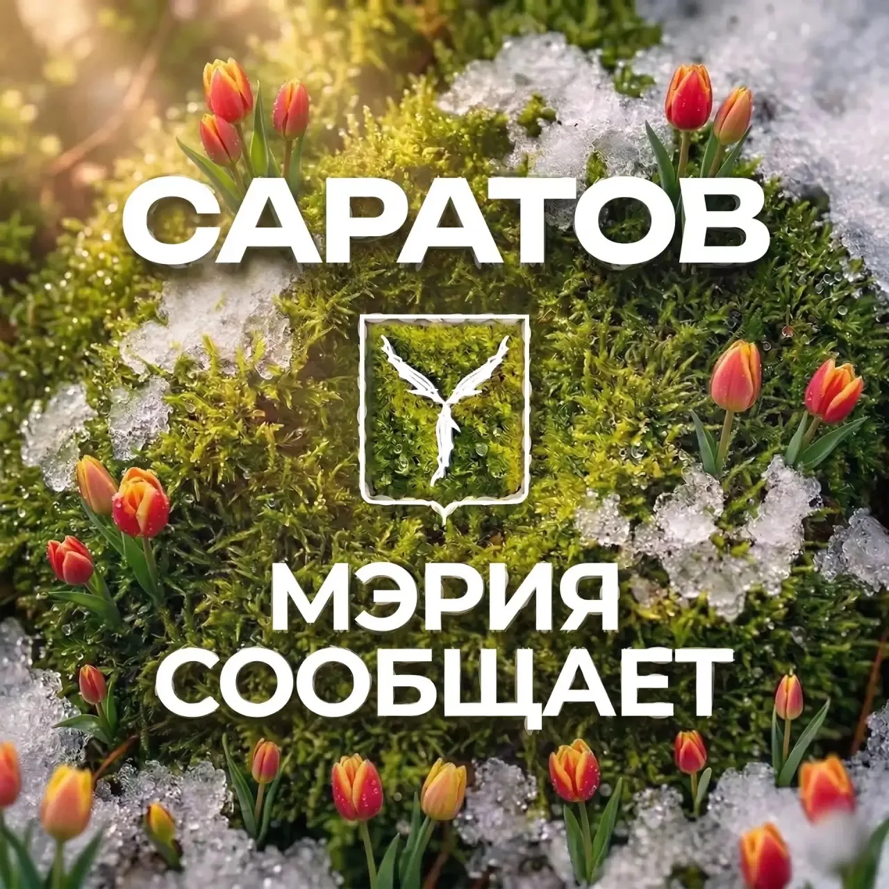 Мэрия сообщает