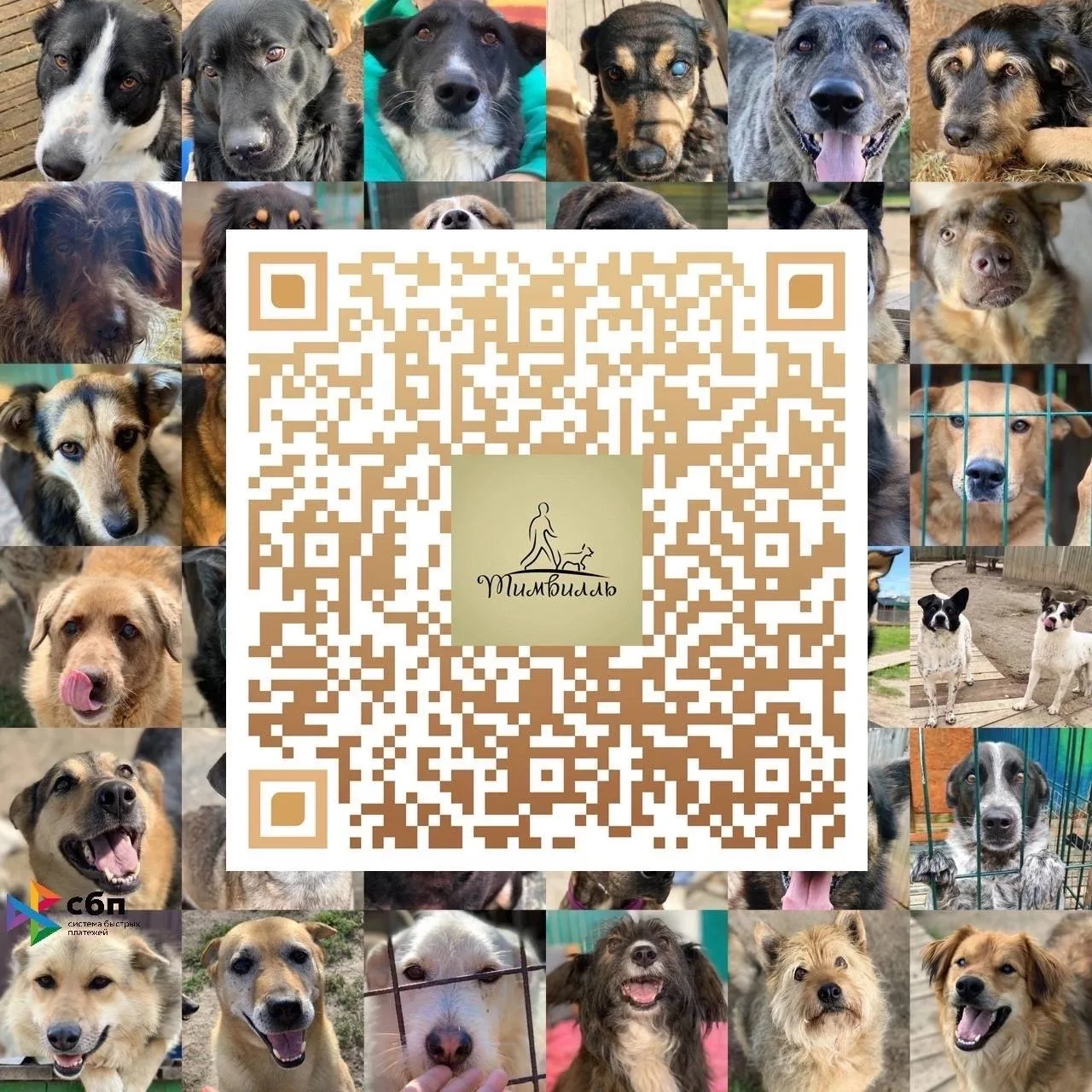 КРОО помощи приюту «Тимвилль»