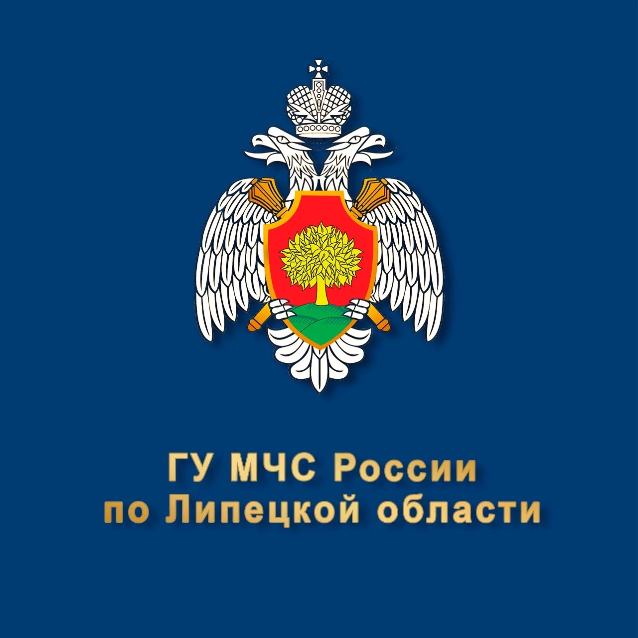 МЧС Липецкой области