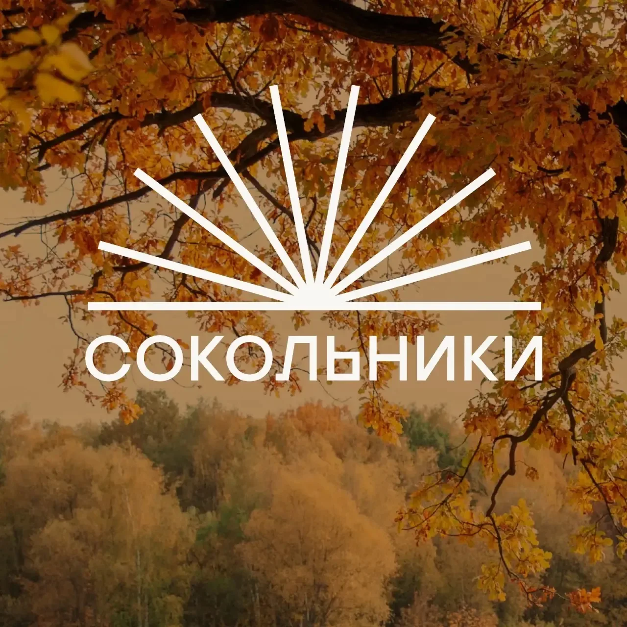 Парк «Сокольники» — канал в мессенджере MAX