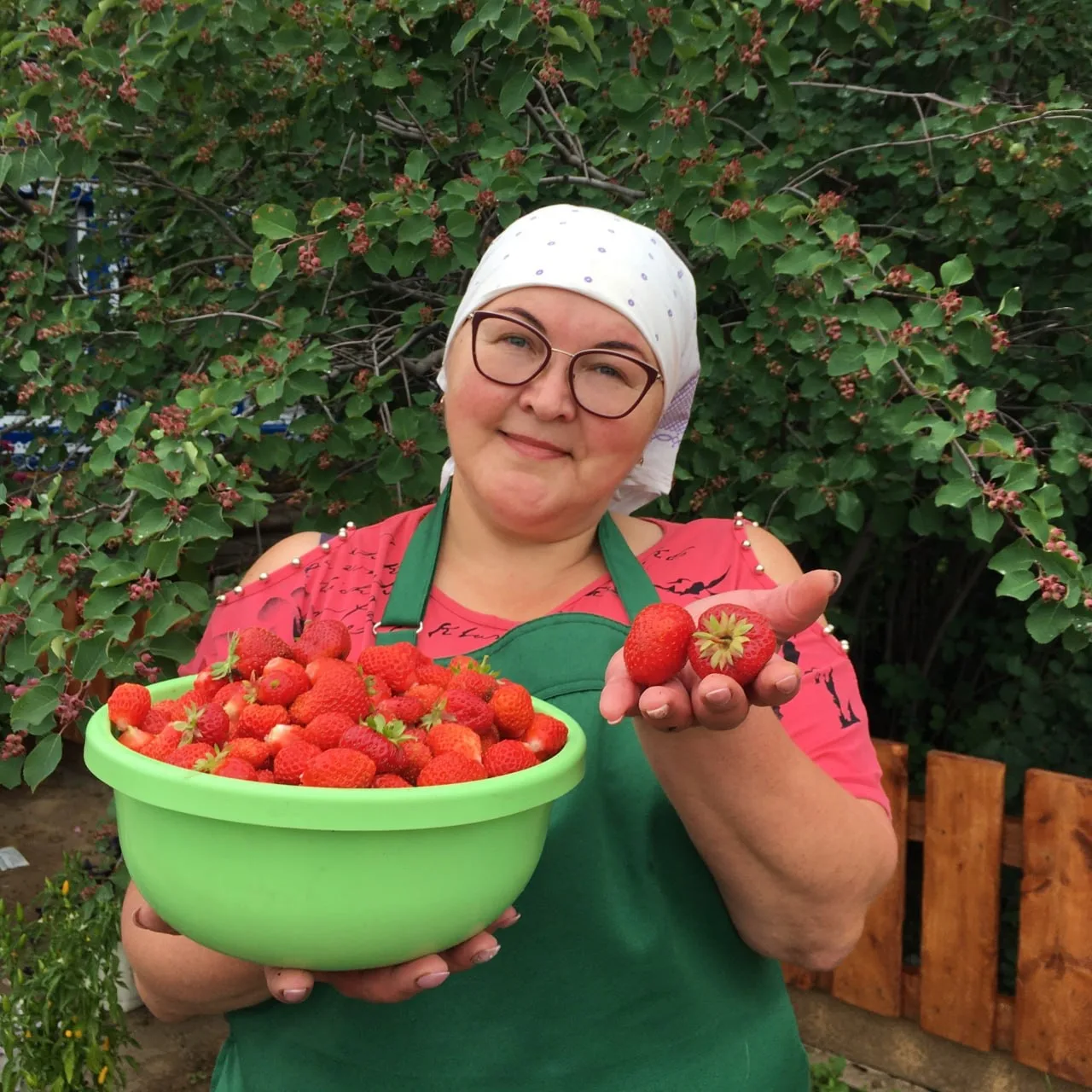 Сибирский сад