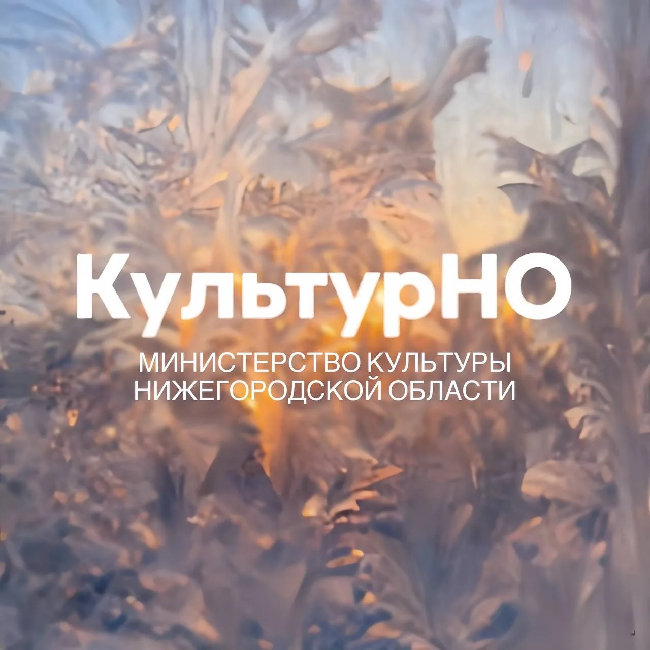 Министерство культуры Нижегородской области