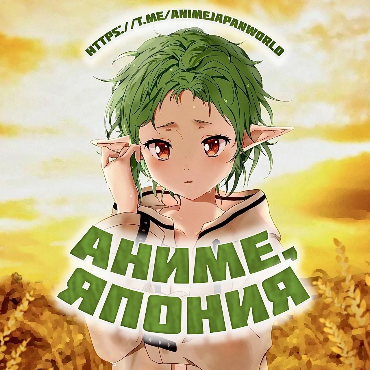 Аниме, Япония