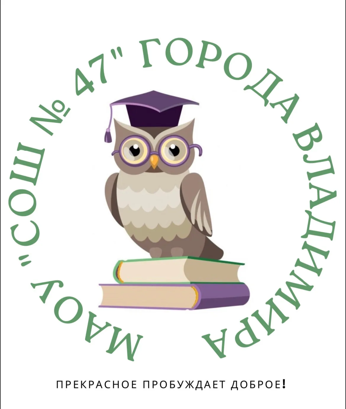МАОУ "СОШ №47" г. Владимира