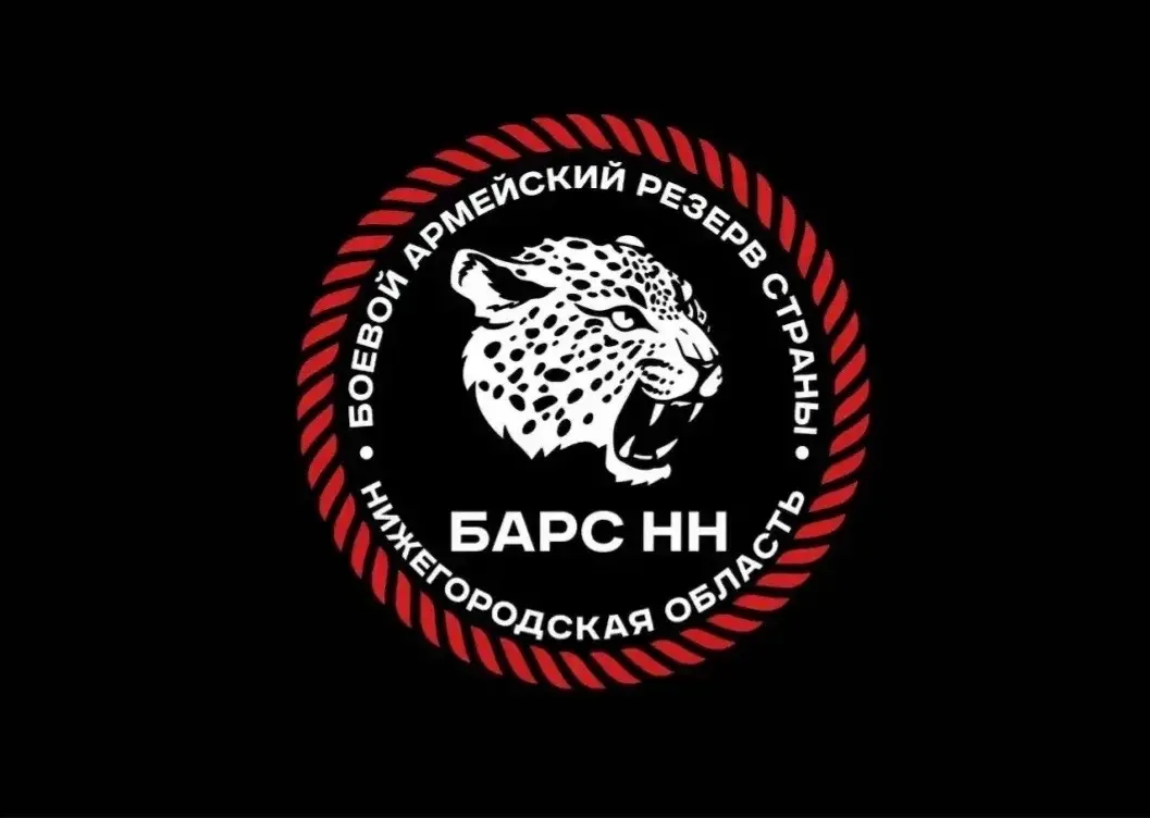 БАРС-НН — канал в мессенджере MAX