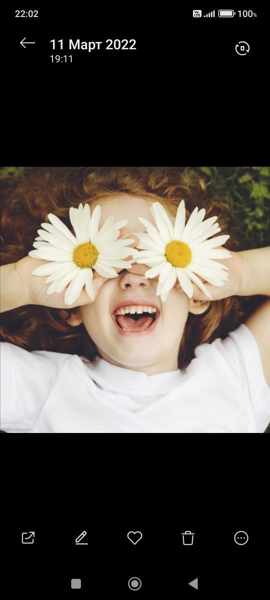 Детский сад N 45 "Ромашка"