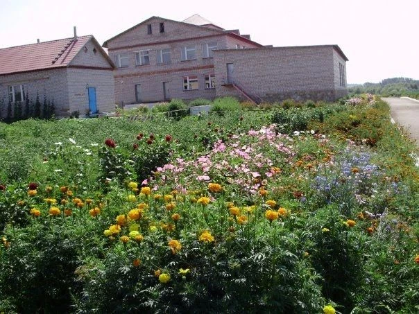 МБОУ ООШ с. Кирюшкино