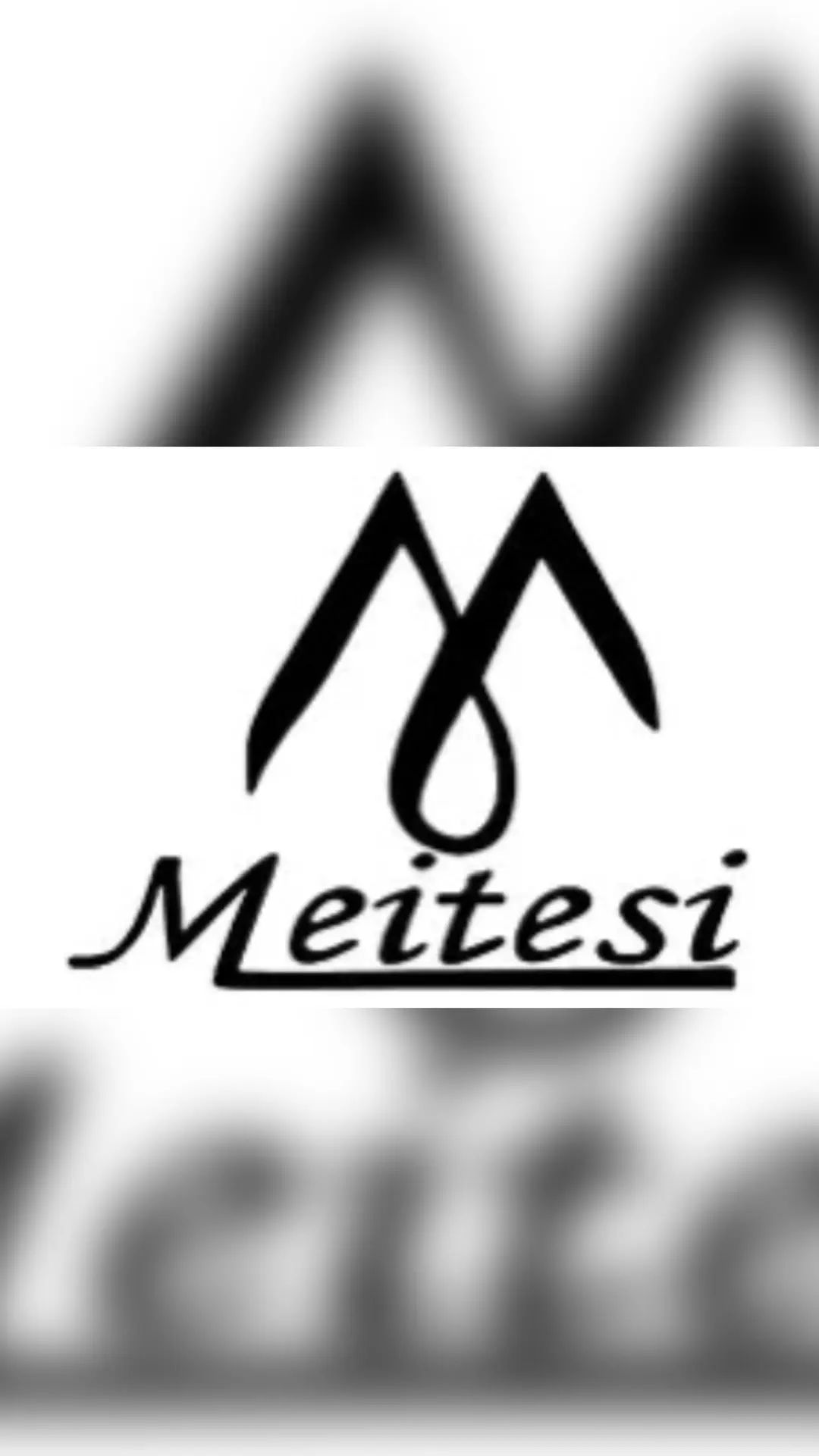 Meitesi_opt/обувь оптом