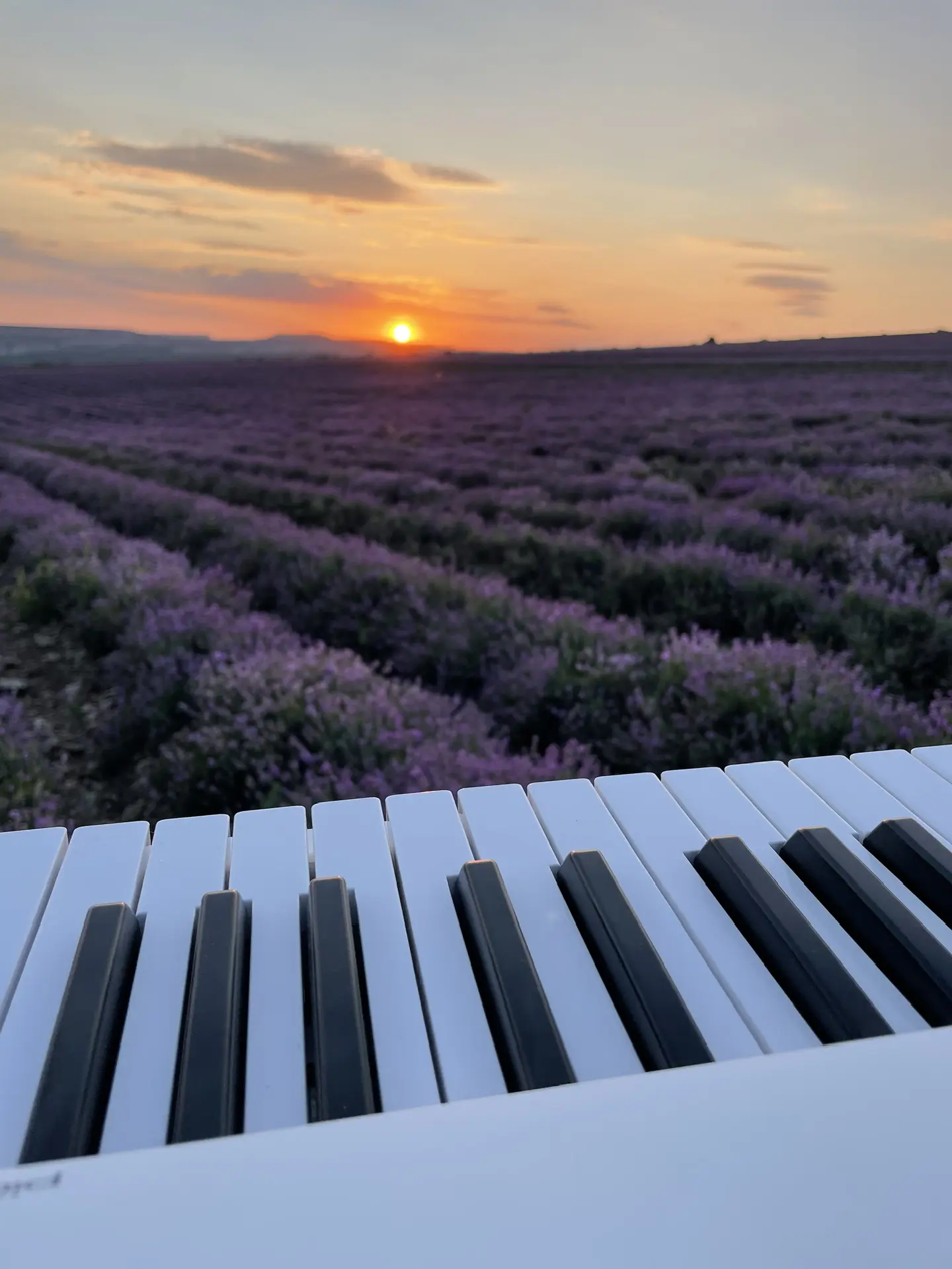 Музыка на закате