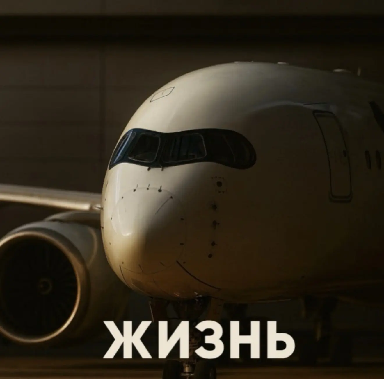 Жизнь | Life