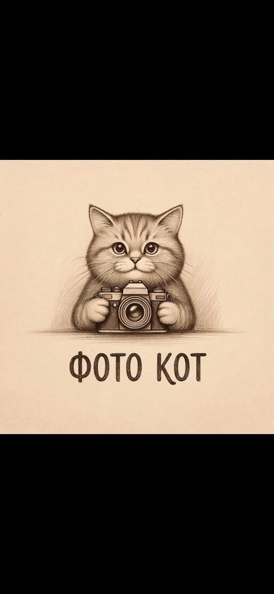 Печать фотографий — канал в мессенджере MAX