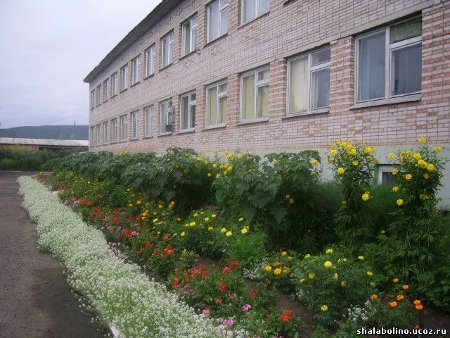 МБОУ Шалоболинская СОШ №18