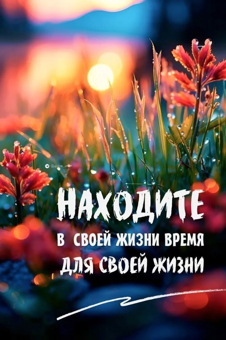 Канал MAX_Коктебельская школа