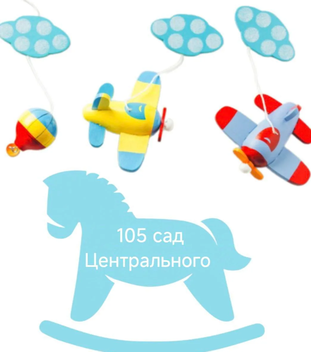 Государственное бюджетное дошкольное образовательное учреждение детский сад №105 Центрального района Санкт-Петербурга