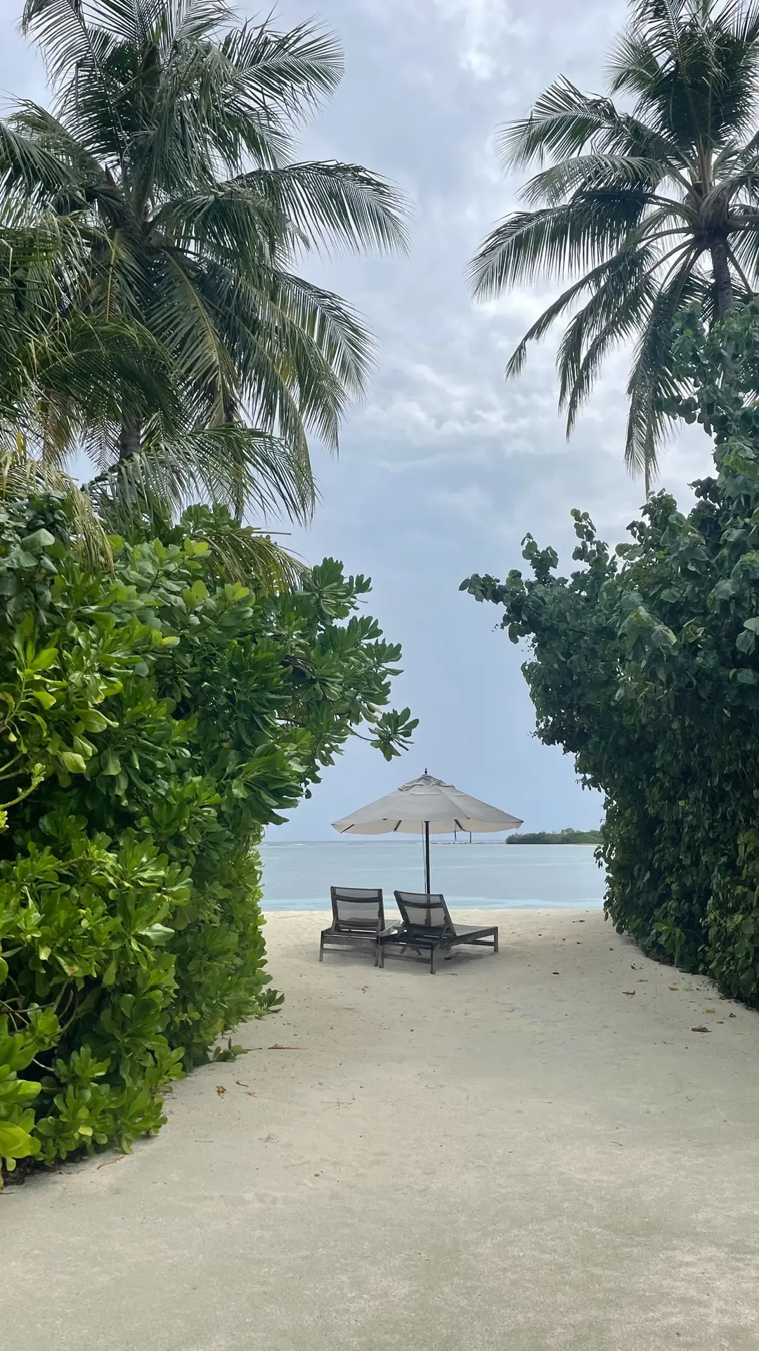 Туры с душой ✈️🌎