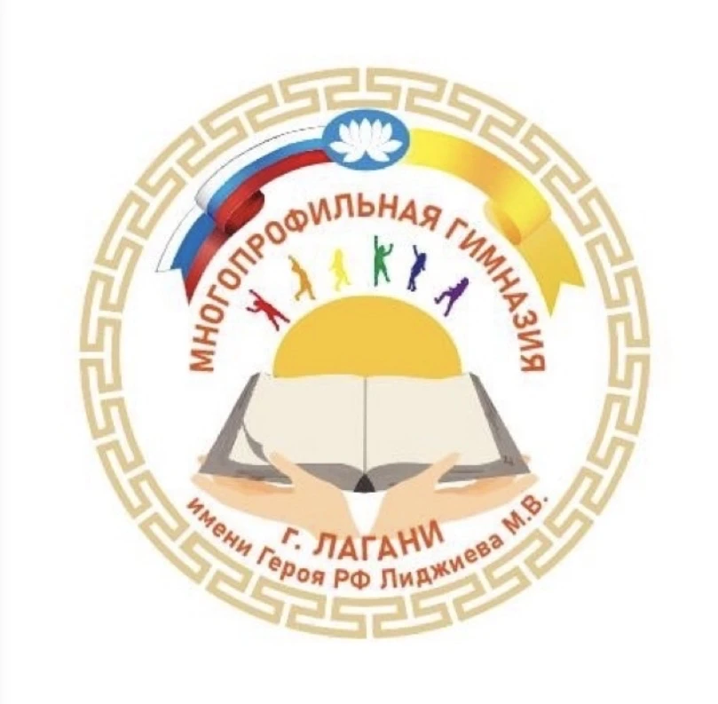 МКОУ "МПГ г. Лагани им. Героя РФ Лиджиева М.В." — канал в мессенджере MAX