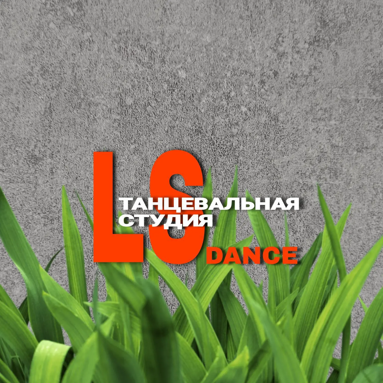 Танцевальная студия | LSDance STUDIO — канал в мессенджере MAX