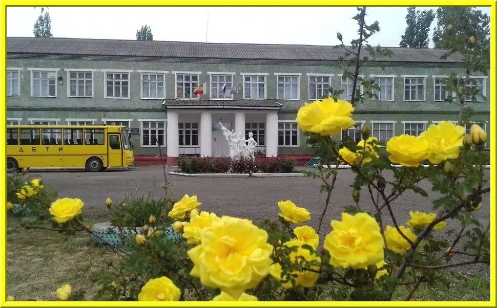 МБОУ СОШ № 84 п. Сеятель