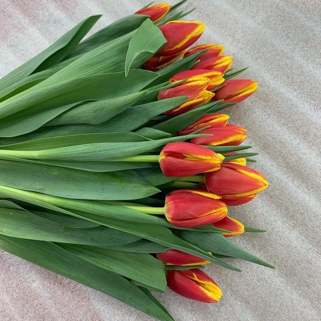 Логотип канала